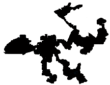 Redistricing 13